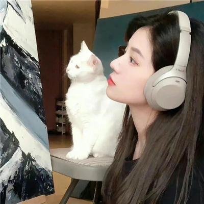爱爱囧事
