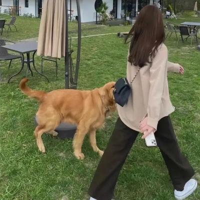 给女人的爱